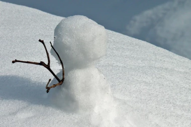 (FOTO) NESTVARNO! Sneg usred septembra ZAVEJAO SLONOVE I ŽIRAFE u Africi