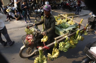 Neverovatan izum Japanaca: Posadili banane koje možete da jedete sa korom