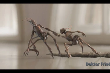 Na 46. Festu PET SRPSKIH PREMIJERA!