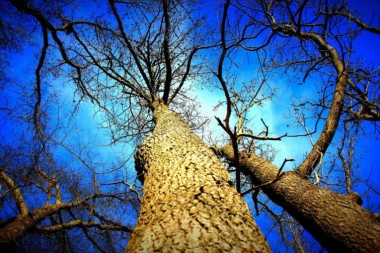 Jutro sunčano i toplo, posle podne CRNI OBLACI NAD SRBIJOM!