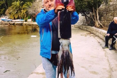 (FOTO) MORSKA NEMAN U JADRANU: Hrvati razmišljaju da li da se kupaju na ovom mestu