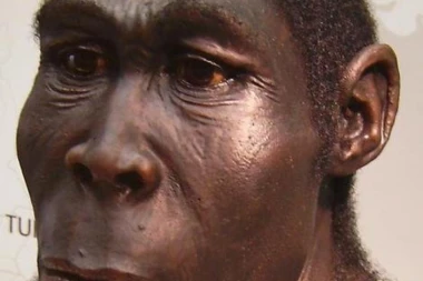 OVO SU BILI PRVI "LJUDI" NA ZEMLJI I UMELI SU DA GOVORE!