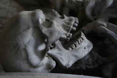 JEZIVA SCENA U BATAJNICI! Pronađen KOSTUR na gradilištu, ne zna se pol i razlog smrti