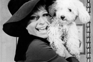 Barbra Strejsend dvaput klonirala svog psa pre nego što je uginuo