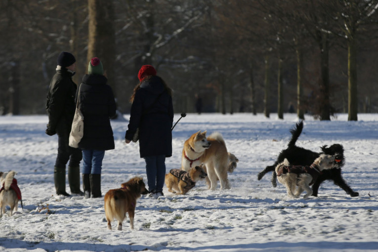 Uživanje u društvu