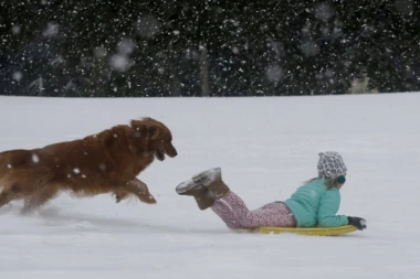 PSIHOLOZI OBJAŠNJAVAJU: Životinje pomažu deci da postanu dobri ljudi