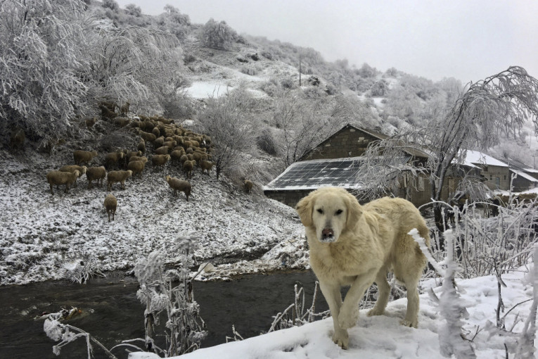 Prekriven snegom stopio se u prelepi pejzaž