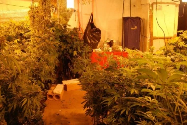 U Bogatiću UHAPŠENE DVE OSOBE - imali LABORATORIJE MARIHUANE