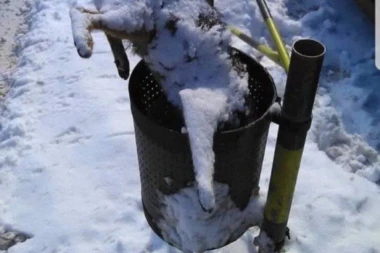 KAKAV JE OVO MONSTRUM?! Bacio smrznutu mačku u kantu!