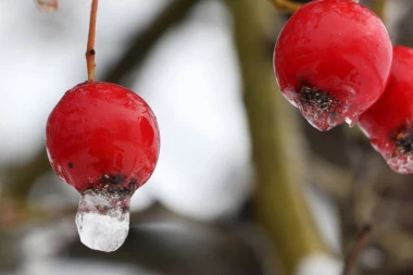 ZAVRŠAVA SE LEDENI TALAS: Naglo otapanje snega može biti novi problem za Srbiju!