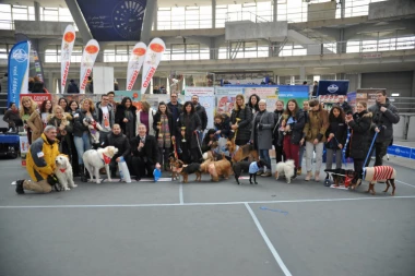 Održana velika izložba pasa mešanaca 2018. na Beogradskom sajmu (GALERIJA)