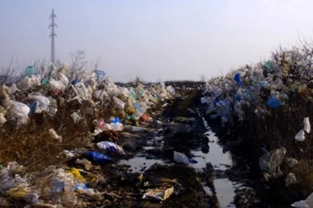 SRAMOTA! Beograd postao žrtva neljudi: Izbacuju đubre u Borči, divlje deponije niču kao pečurke!