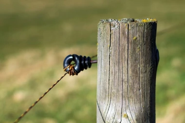 ZAMALO! Uspeo da iseče drvene bandere, ali je uhvaćen kad ih je tovario