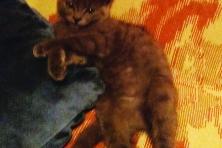 Malo da se odmorim posle ručka