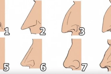 KAKAV TI JE NOS, TAKAV TI JE KARAKTER: Kukasti imaju kreativci, dugmasti iritantne osobe!