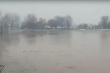POTOP KOD ZAJEČARA: Izlio se Beli Timok! (VIDEO)