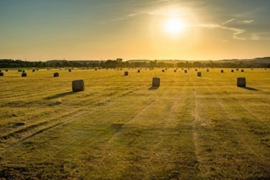 (FOTO) Majka priznala ubistvo sina, a nakon toga policija saznala STRAVIČNU ISTINU o poremećenoj porodici