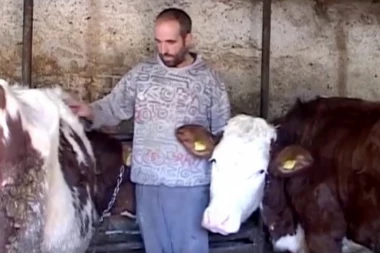 CRNA SRBIJO! Mladić samo hteo da prehrani stoku, a sada MORA U ZATVOR!