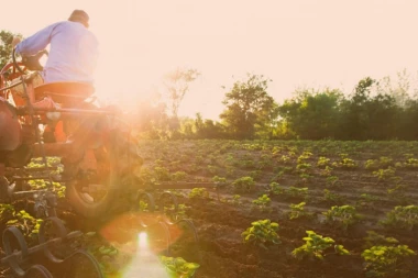 Banca Intesa uvećala kredite poljoprivredi za trećinu