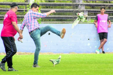 Perje bukvalno letelo po fudbalskom terenu u Urugvaju: DIREKTOR KLUBA IŠUTIRAO KOKOŠKE SA STADIONA!