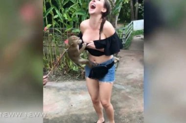 (VIDEO) JU, ISPADE CELA: Zločesti majmun u par trikova RAZGOLITIO devojku!