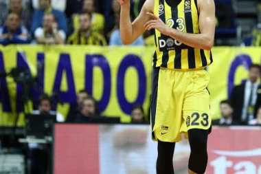 KAD ŽOC UZME POD SVOJE: Gudurić OTKRIO kako je pod komandom Obradovića!