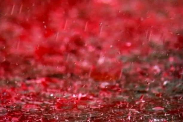 NAJUŽASNIJI UŽAS! Odsečenu glavu deteta nosio kao poklon, uhapšen ispred zgrade parlamenta