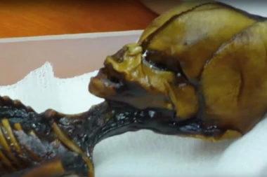 (VIDEO) REŠENA MISTERIJA: Nagađalo se da je VANZEMALJAC pa otkrili PRAVU ISTINU!