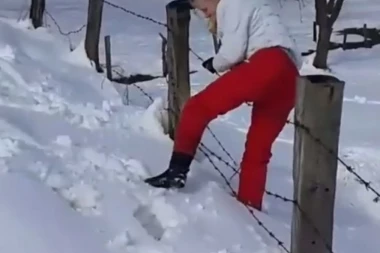 (VIDEO) OVO MORA DA JE BOLELO: Htela da preskoči ogradu, pa se nabola na bodljikavu žicu