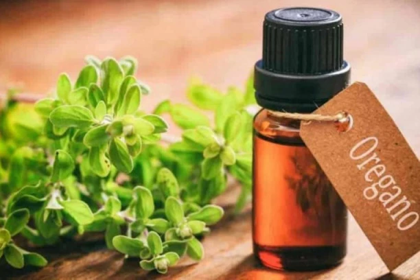 PRIRODNI ANTIBIOTIK: Ovo moćno ulje UNIŠTAVA veliki broj BAKTERIJA!