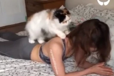 (VIDEO) OVAJ MAČAK JE BOLJI MASER OD SVAKOG MUŠKARCA