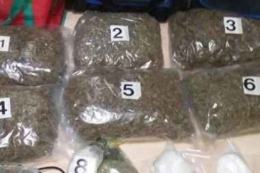 ZAPLENJENO BRDO DROGE U NOVOM SADU