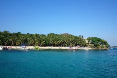 BRAVO ZA INICIJATIVU: Filipini usvojili zakon kojim studenti moraju da posade bar 10 stabala ako žele da diplomiraju