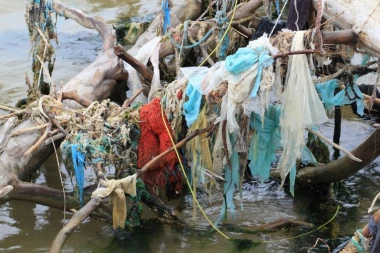 Naučnici istraživali nestajanje otpada u okeanima: Ribe koje jedu plastiku završe na našoj trpezi?!