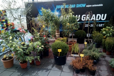 SVE NA JEDNOM MESTU: Jeftino opremite baštu, uz besplatan stručni savet