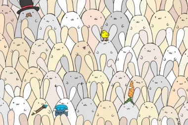 USKRŠNJA SKRIVALICA: U moru zečeva, sakrilo se JAJE - niko ne može da ga pronađe iz prve, a vi?