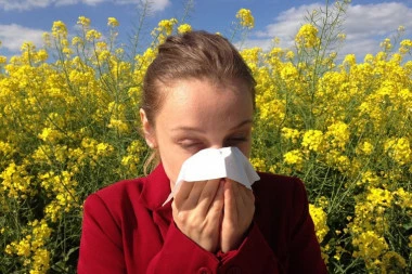 NEMATE KORONU! Struka tvrdi: Ovaj simptom jasno ukazuje na to da vas je stisla alergija, a ne virus!