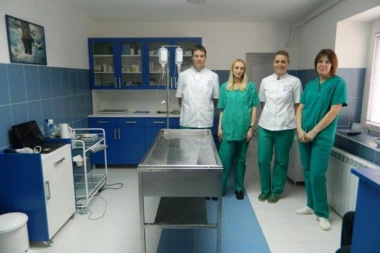 POZOVITE! Hitna pomoć za kuce i sve životinje