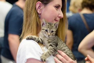 KAKO DA VAS MAČKA ZAVOLI?