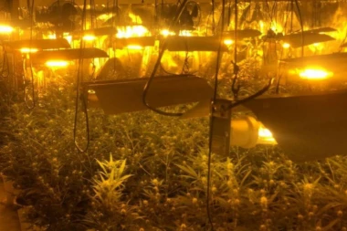 UMALO SVI IZGINULI! Kuvarica kanadske vojnike hranila kolačima sa kanabisom tokom vojne vežbe!