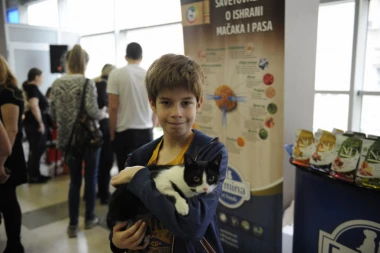 Požurite u Dom omladine da udomite Putina!