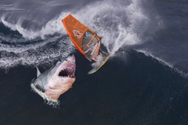 OSAKATILA GA AJKULA: Surfer uspeo da dopliva do obale i spase živu glavu!
