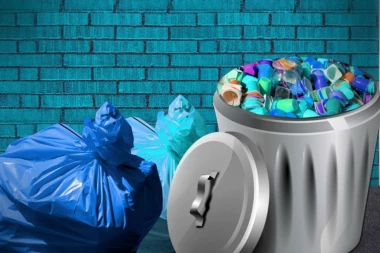 Naučnici dokazali da kakimo plastiku