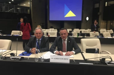 Antić: Na skupu u Sofiji pozitivno ocenjen doprinos Srbije