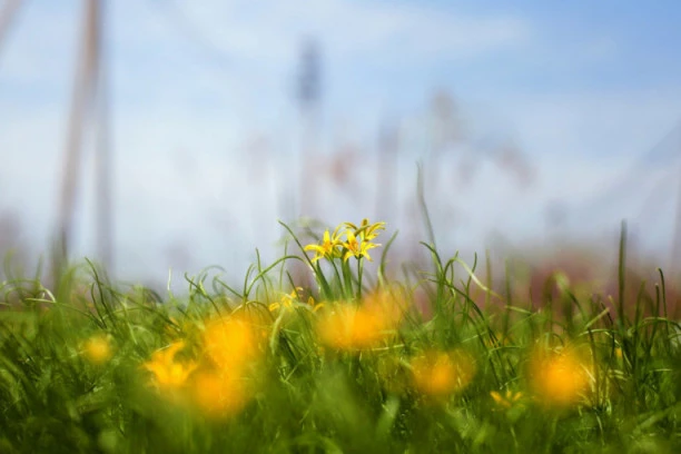 Danas pretežno sunčano, do 30 stepeni, a USKORO osetni PORAST temperature!