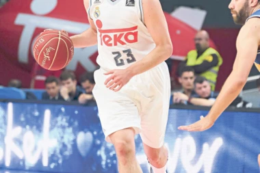 Ljulj pred F4 Evrolige: BEOGRAD JE LUD KOŠARKAŠKI GRAD!