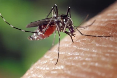 (VIDEO) Počelo zaprašivanje komaraca iz vazduha