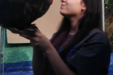 (VIDEO)  Petao svakog dana zna kada dolazi autobus i juri DEVOJČICI U ZAGRLJAJ!