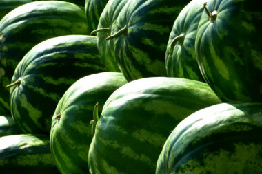 AGRONOM UPOZORAVA: Obratite pažnju, ako lubenica ima OVO na kori puna je HEMIJE!