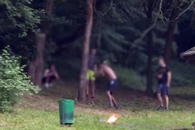 PALE DRVOSEČE: Dolijali vandali koji su isekli stablo na Košutnjaku